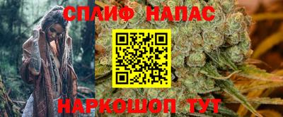 индика Нягань