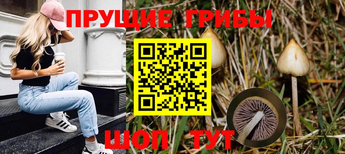 Томск  Псилоцибиновые грибы MAGIC MUSHROOMS  Вход с VPN 