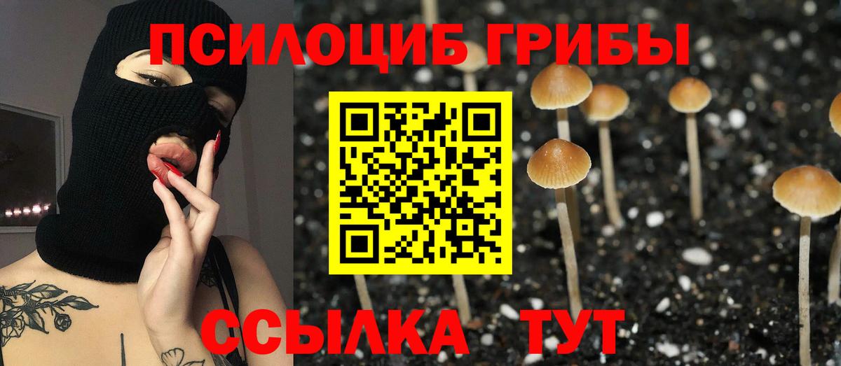 Галлюциногенные грибы мицелий Томск